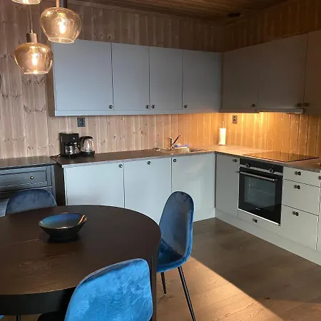 New Apartment, Gausta In Rjukan. In/ Out *