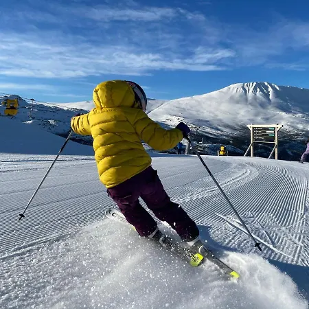 New Apartment, Gausta In Rjukan. In/ Out 公寓 *