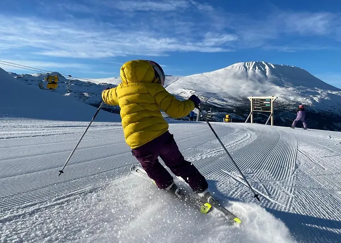 New Apartment, Gausta In Rjukan. In/ Out 公寓 *